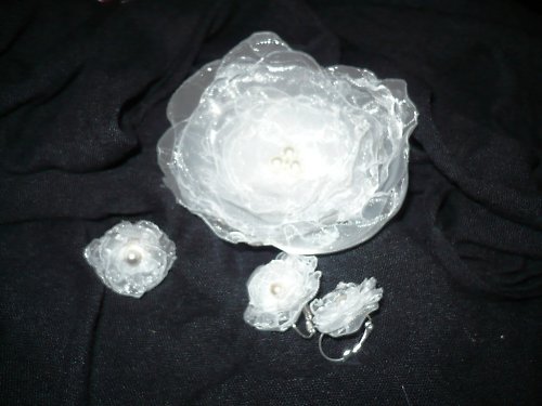 Bledule jarní — foto 1