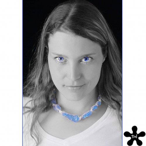 Ledy v síti