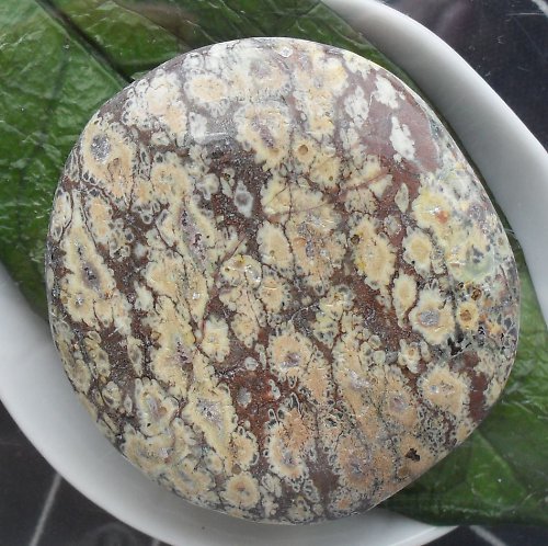 Jaspis leopard 45x41mm — foto 1