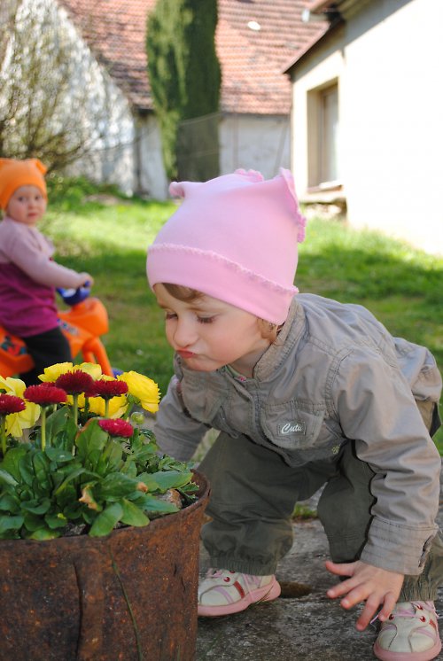 Růžový šáteček — foto 1