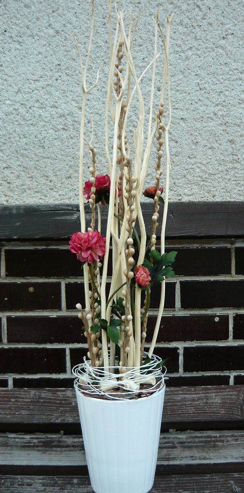 Růžový ranunculus v proutí — foto 1