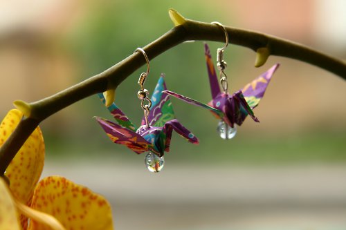 Purpurový jeřáb — foto 1
