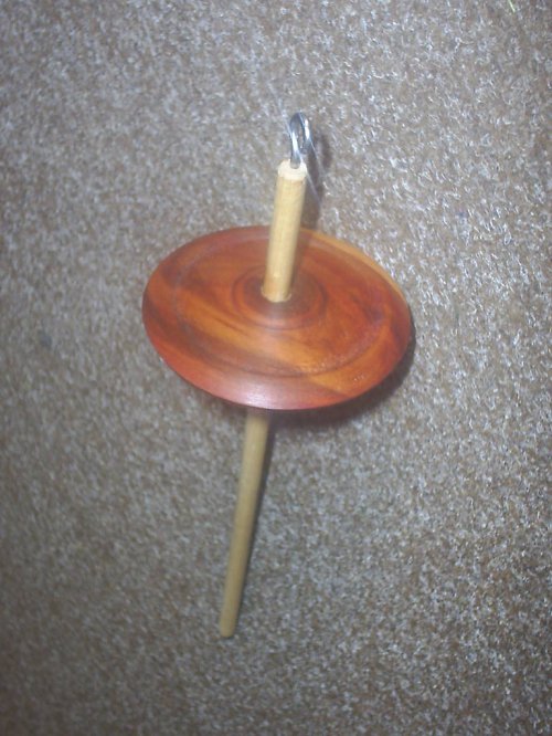 Vřetánko-švestkový disk — foto 1