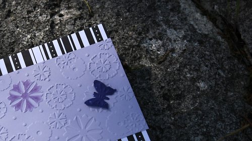 Dívčí přání s motýlkem — foto 1