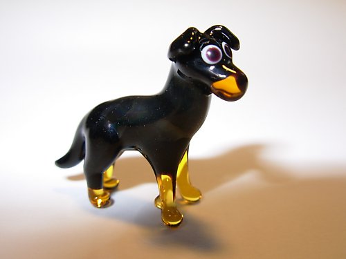Beauceron — foto 1