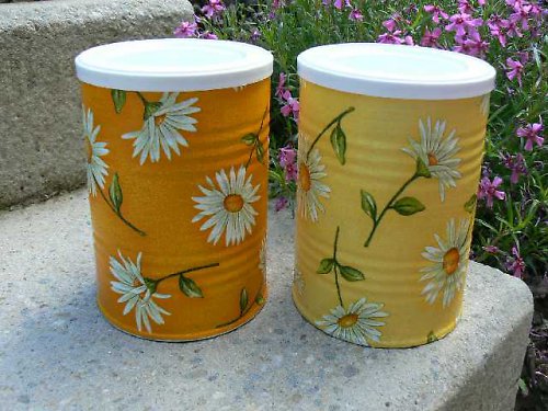 Kopretinové duo — foto 1