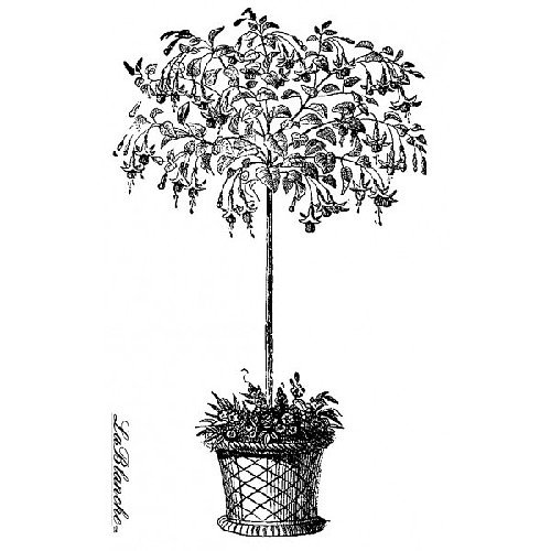 LaBlanche - POTTED BUSH - silikonové razítko — foto 1