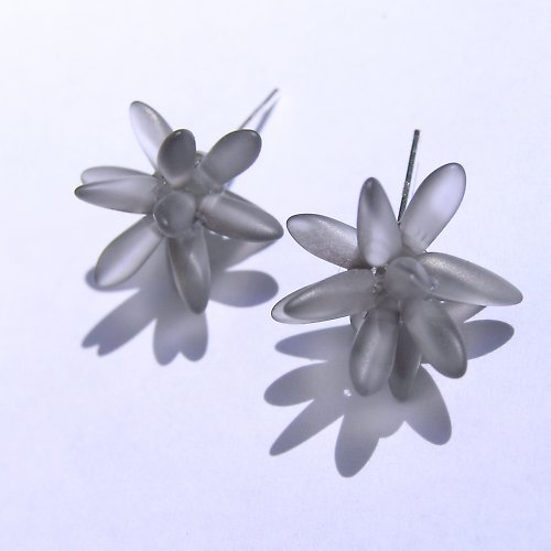 Echonoidea Little Silver — foto 1