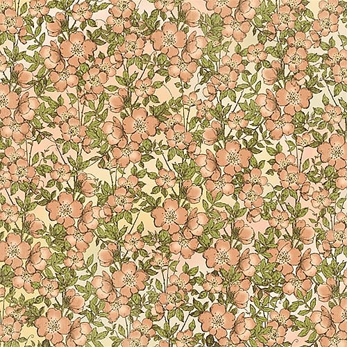 Primrose Cottage - scrapbook — foto 1