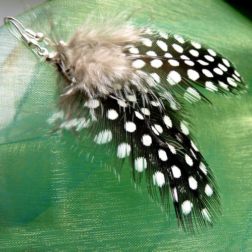 Z kropenaté ptačí říše — foto 1