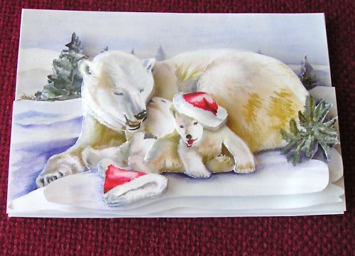 Vánoční přání 3D-lední medvídci — foto 1