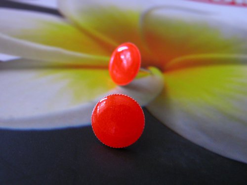 Oranžové neonky — foto 1