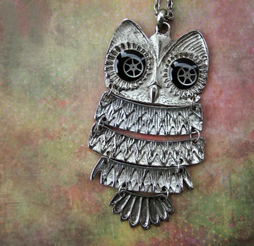 Black eyed owl — foto 1
