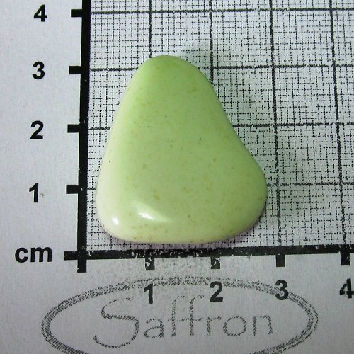 Citronový chryzopras Austrálie č.2 — foto 1
