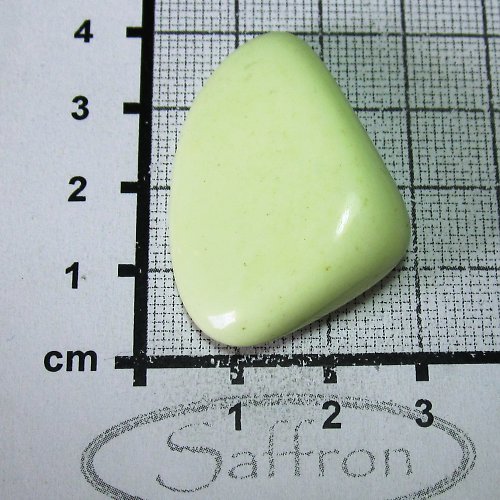 Citronový chryzopras Austrálie č.4 — foto 1