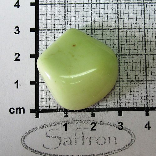 Citronový chryzopras Austrálie č.7 — foto 1