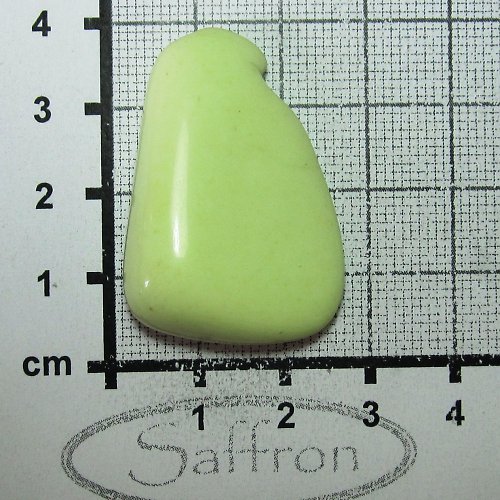 Citronový chryzopras Austrálie č.9 — foto 1