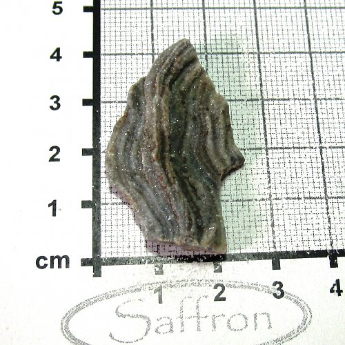 Chalcedonová růže č.9 — foto 1