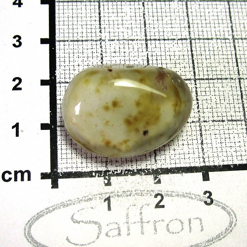 Chalcedon - č.7 — foto 1