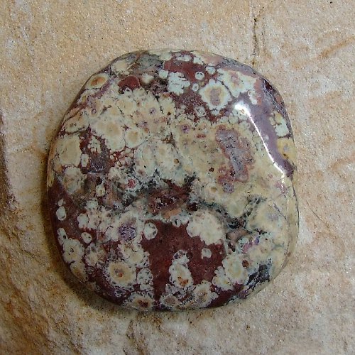 Jaspis Leopardí — foto 1
