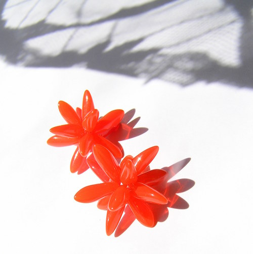Echonoidea Little Orange — foto 1