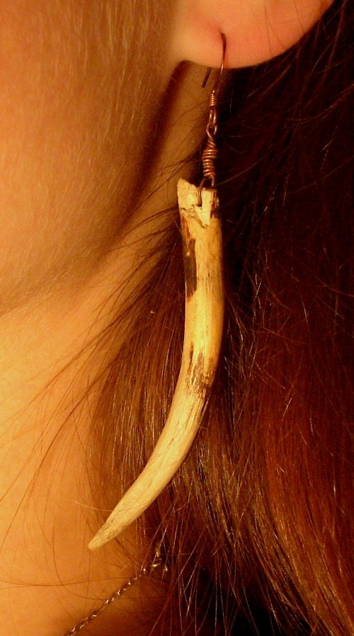Lesní cesta — foto 1
