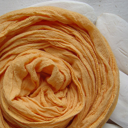 Barvy země a spadaného listí — foto 1