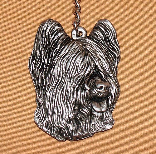 Briard — foto 1