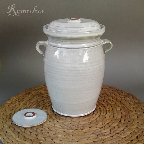 Kvašák bílý (2 l) — foto 1