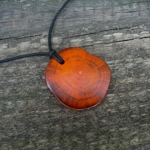 Koliesko orange II — foto 1