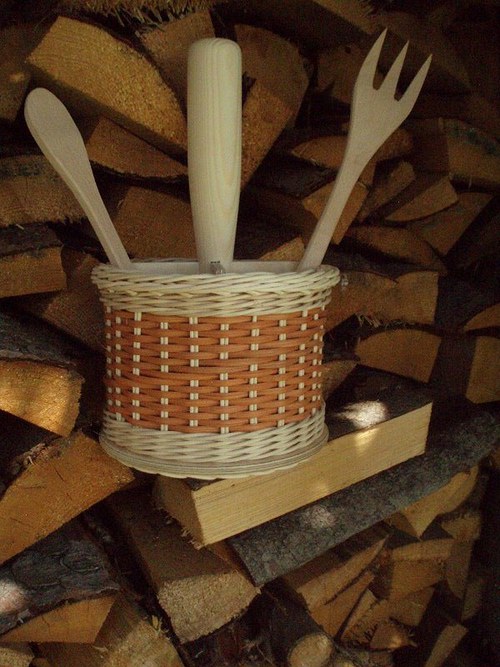 Vařečkovník rovný — foto 1