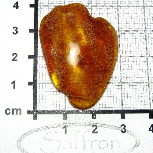 Přírodní Jantar - Litva č.7 — foto 1