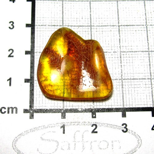 Přírodní Jantar - Litva č.9 — foto 1