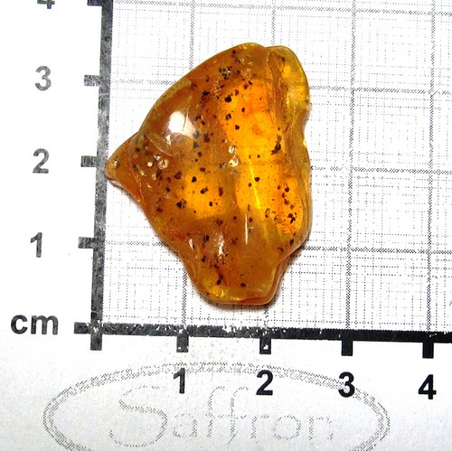 R Přírodní Jantar - Litva č.12 — foto 1