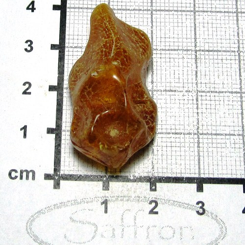 Přírodní Jantar - Litva č.24 — foto 1