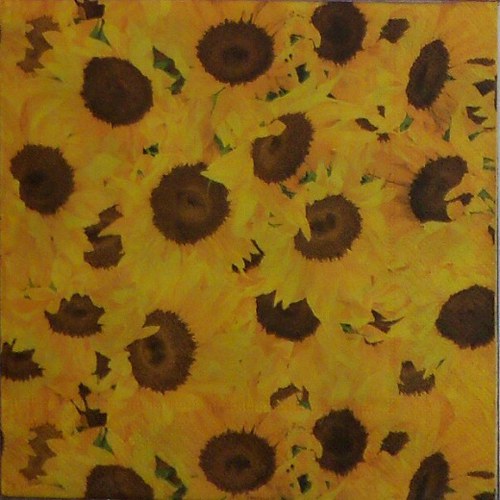 Slunečnice - celoplošné