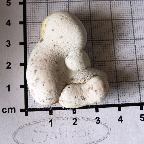 Menilit opál - (fun stone) č.8 — foto 1