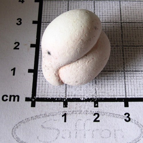 R Menilit opál - (fun stone) č.9 — foto 1