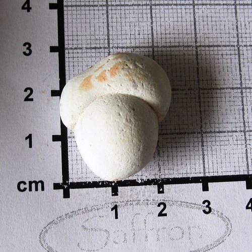 Menilit opál - (fun stone) č.10 — foto 1