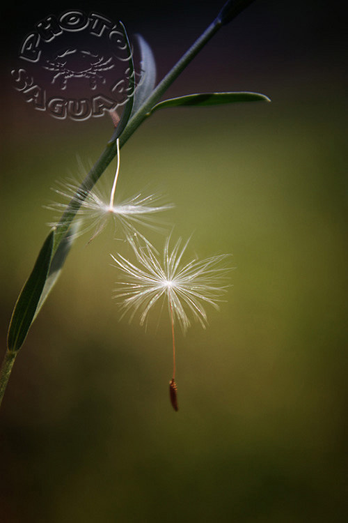 Držím tě ... 40x60cm — foto 1