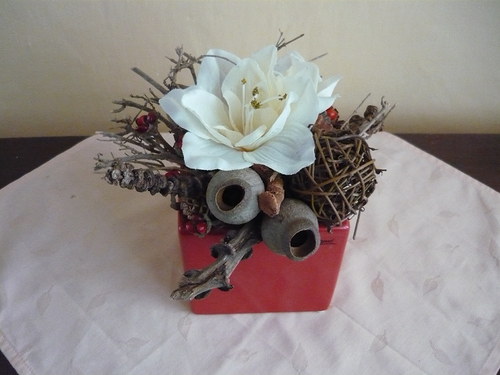 Bílý amarilis — foto 1