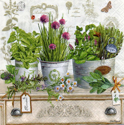 Herbarium — foto 1