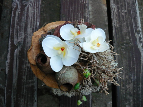 Orchidejka v přírodě — foto 1