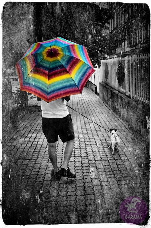 Foto A4: za deště...II. — foto 1
