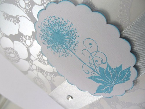 Make a wish — foto 1