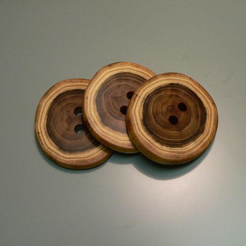 Akátový maxi knoflík — foto 1