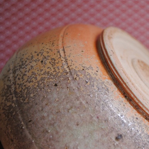 Popelová kropenatka — foto 1