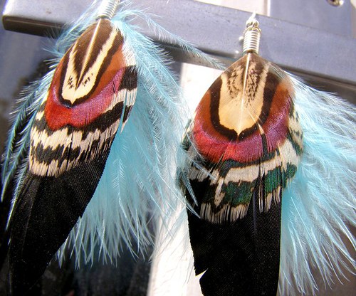 Blue Raven — foto 1