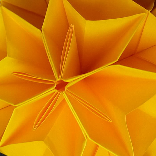 Orange — foto 1