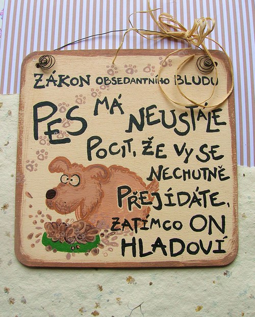 Zákon obsedantního bludu — foto 1